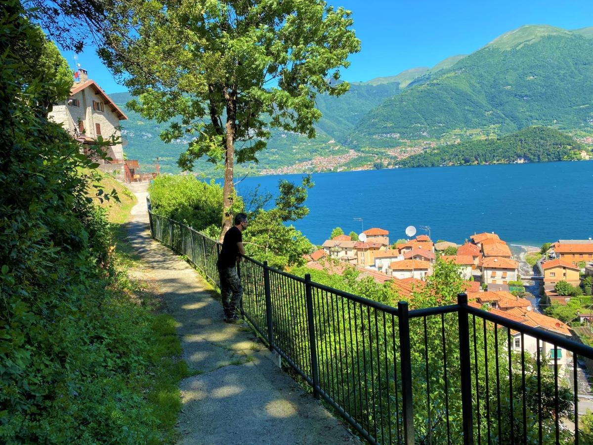 Il Bellavista Apartment Lezzeno Bagian luar foto