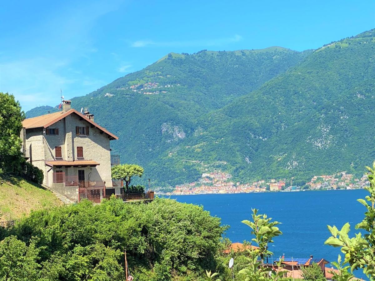 Il Bellavista Apartment Lezzeno Bagian luar foto